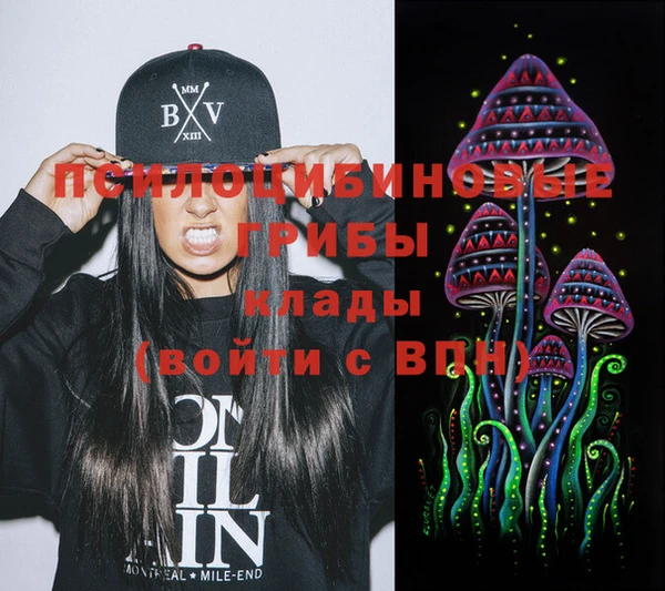 МДПВ Лабытнанги