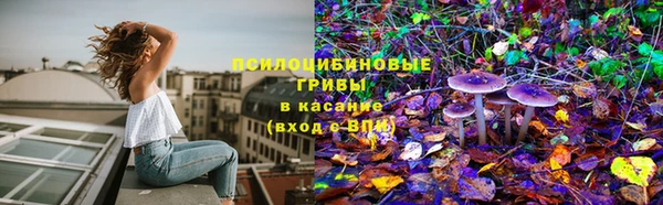 a pvp Лагань