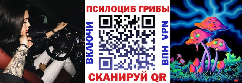 Псилоцибиновые грибы Cubensis  Торопец 